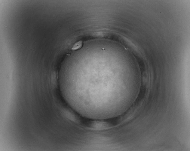X0000115410605200911101613