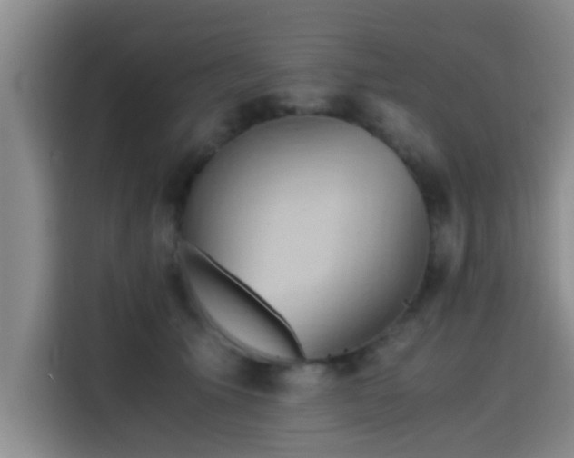 X0000115410609200911101613
