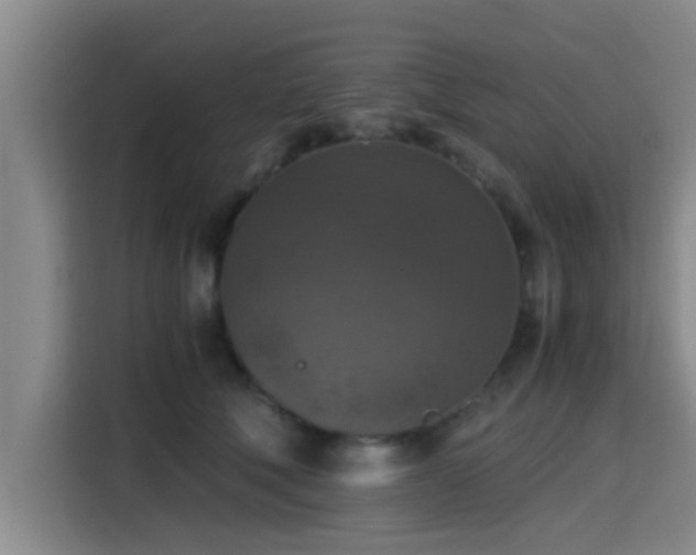 X0000115410610200911101613