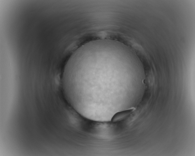 X0000115410611200911101613