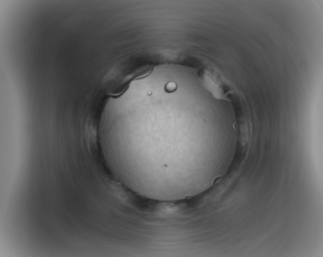 X0000115410613200911101613