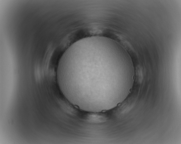 X0000115410614200911101613