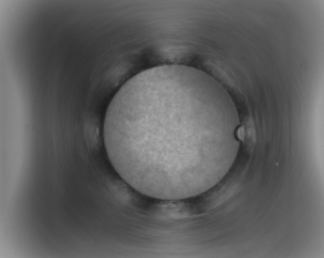 X0000115410615200911101613
