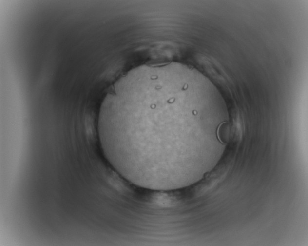 X0000115410616200911101613