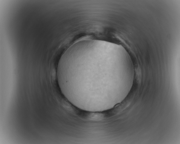 X0000115410617200911101613