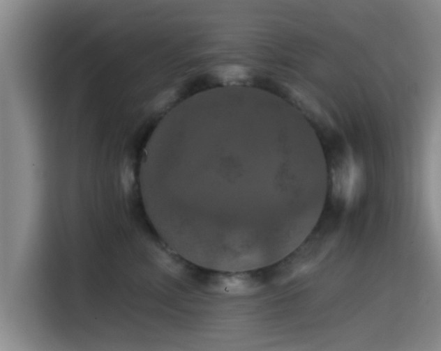X0000115410618200911101613