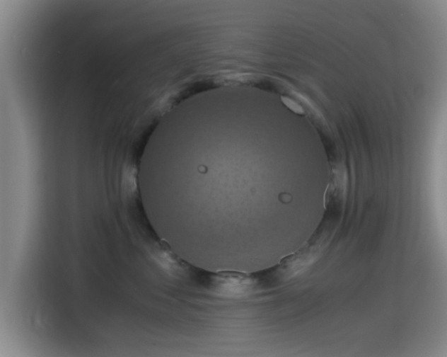 X0000115410621200911101613
