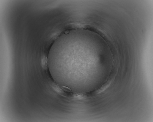 X0000115410624200911101612