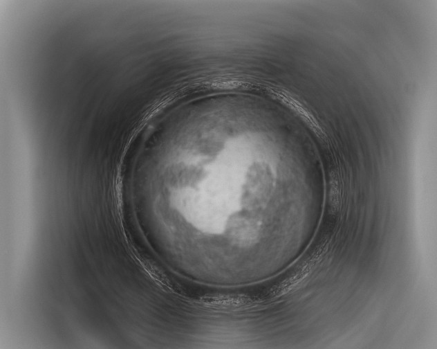 X0000115410626200911101612