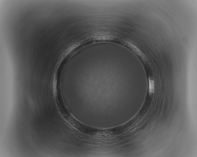 X0000115410627200911101612