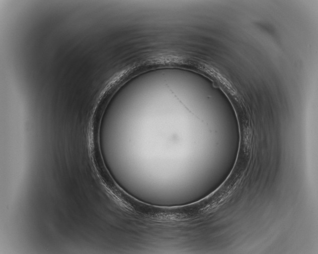 X0000115410629200911101612