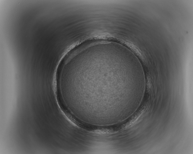 X0000115410630200911101612