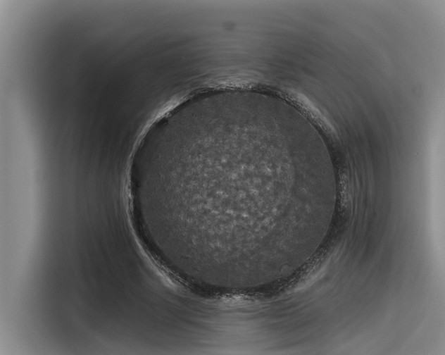 X0000115410634200911101612