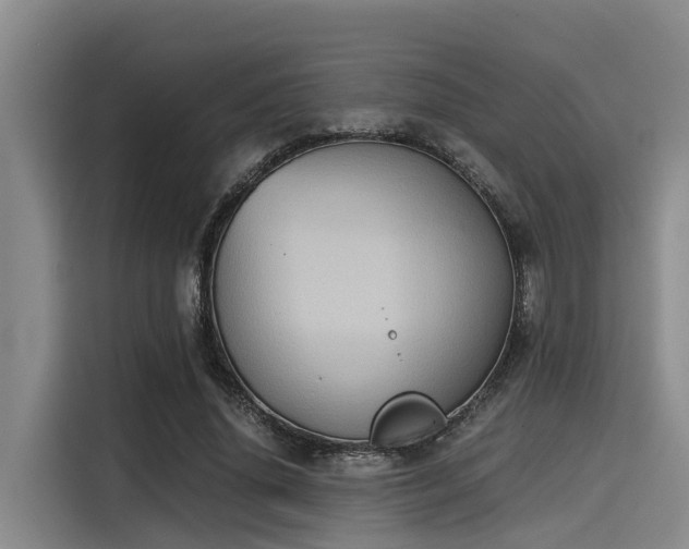 X0000115410636200911101612