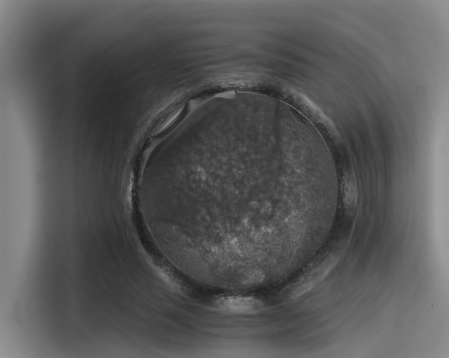 X0000115410637200911101612