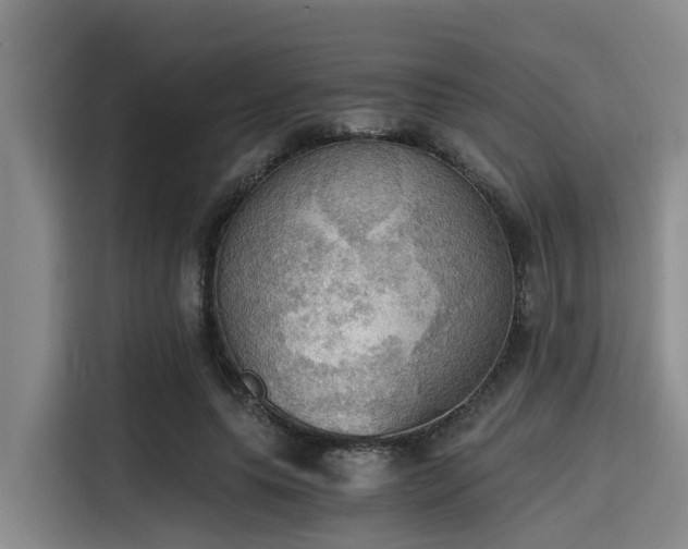X0000115410639200911101612