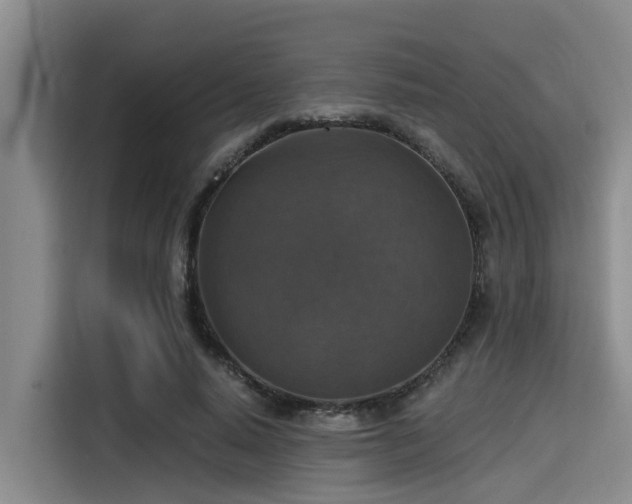 X0000115410640200911101612