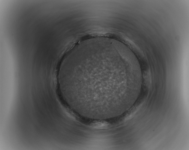X0000115410642200911101612