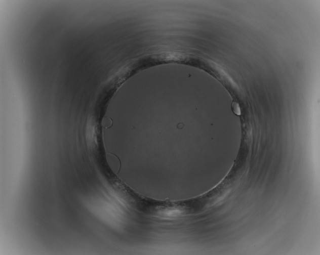 X0000115410643200911101612