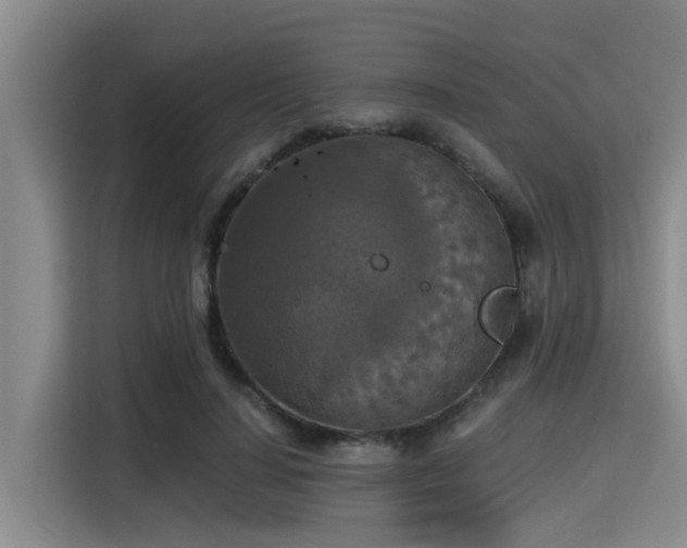 X0000115410644200911101612