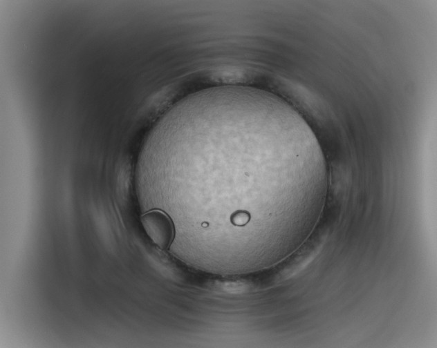 X0000115410645200911101612