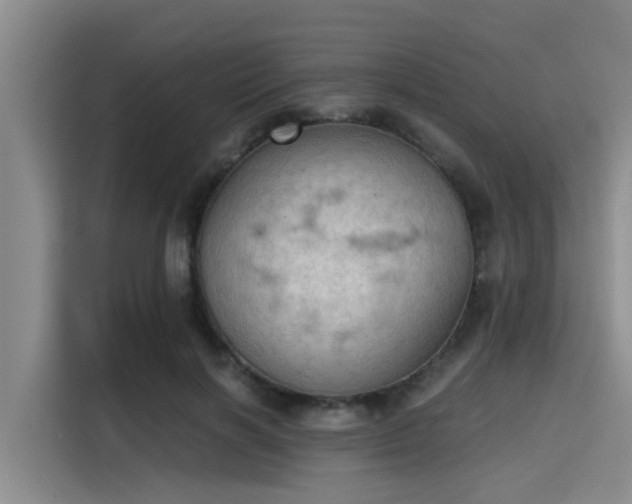 X0000115410646200911101612