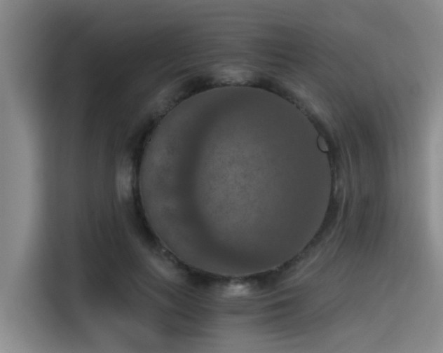 X0000115410647200911101612