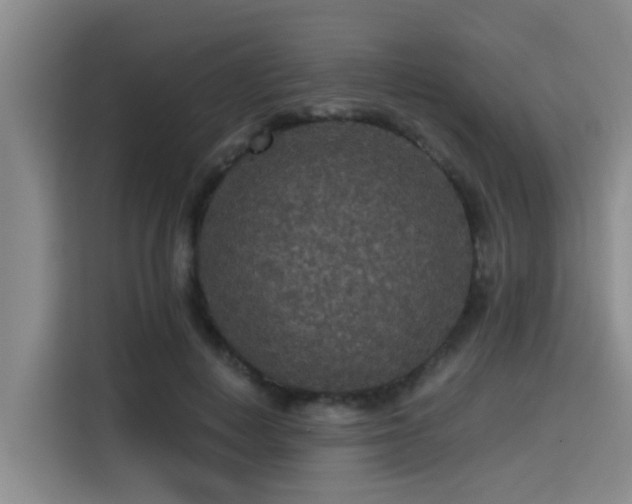 X0000115410648200911101612