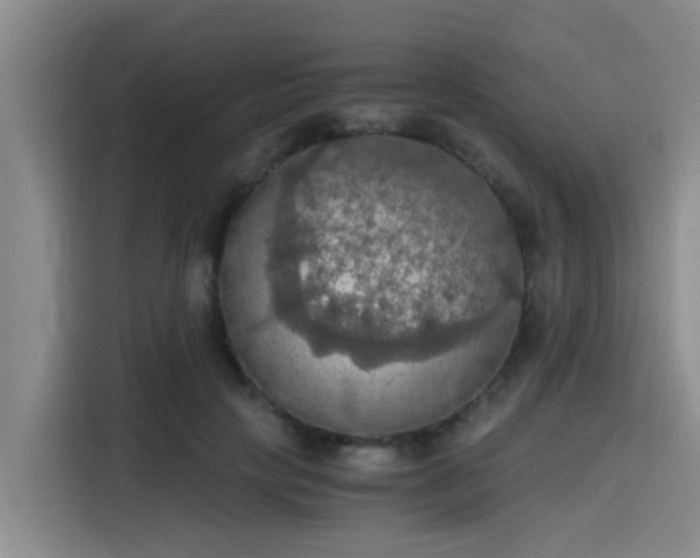 X0000115410649200911101612