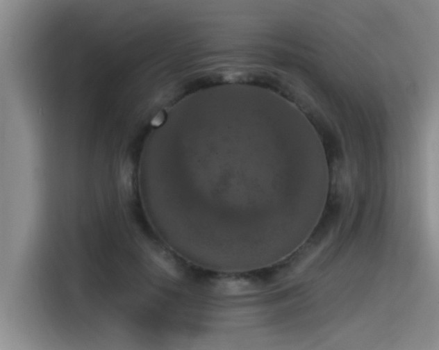 X0000115410650200911101612