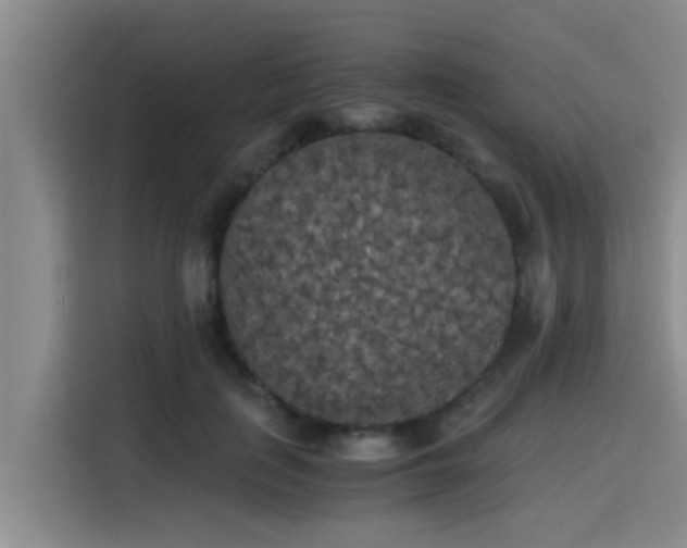 X0000115410651200911101612