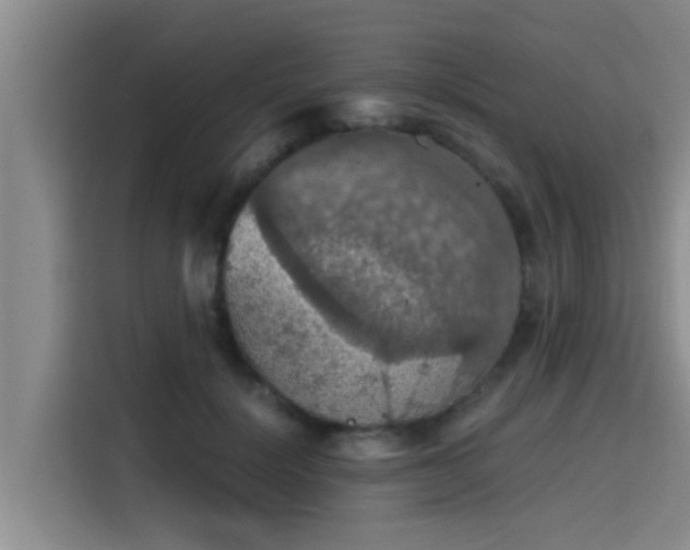 X0000115410652200911101612