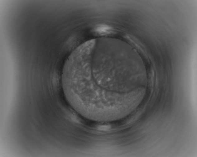 X0000115410653200911101612
