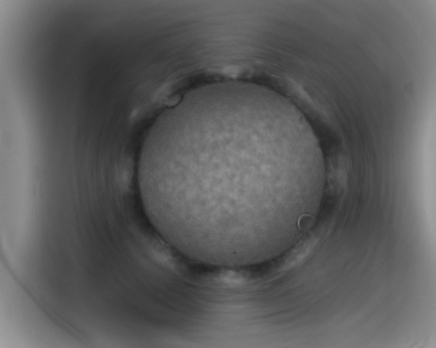 X0000115410656200911101612
