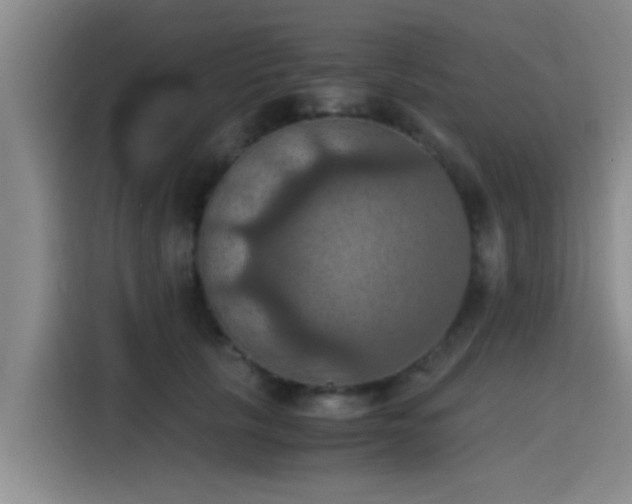 X0000115410657200911101612