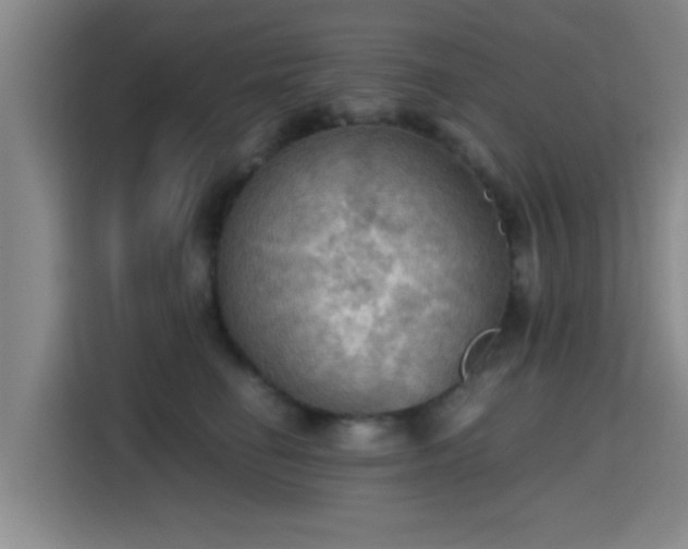 X0000115410662200911101612