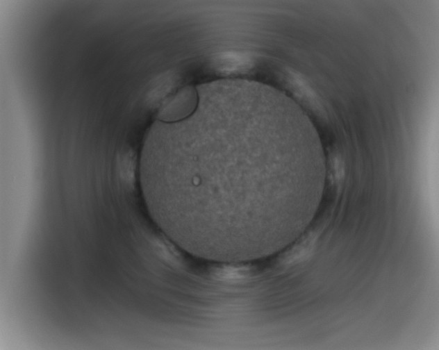 X0000115410664200911101612