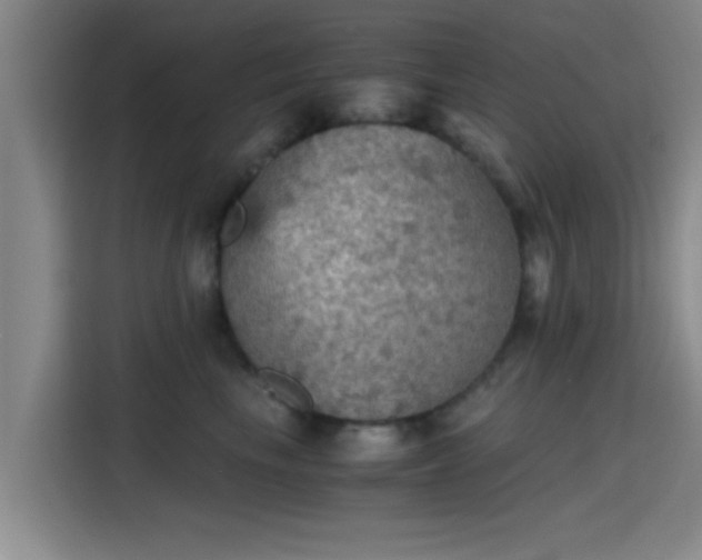 X0000115410665200911101612