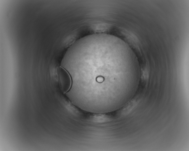 X0000115410666200911101612