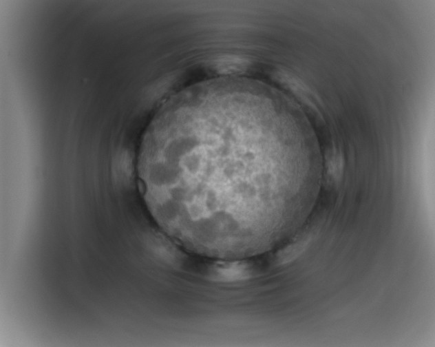 X0000115410667200911101612