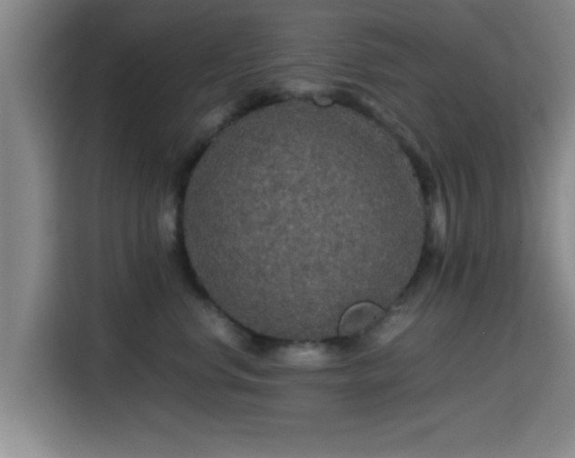 X0000115410668200911101612