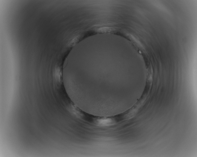 X0000115410669200911101612