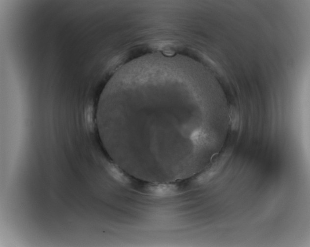 X0000115410670200911101612