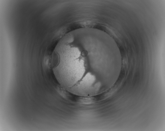 X0000115410671200911101612