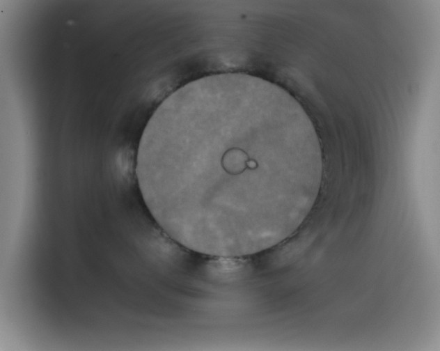 X0000115410672200911101612