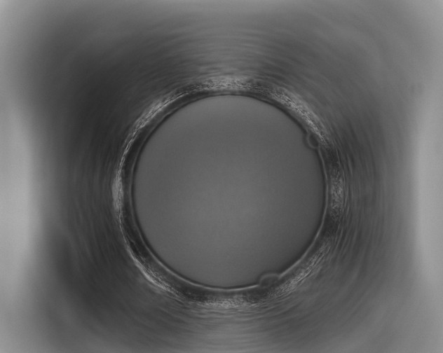 X0000115410674200911101612