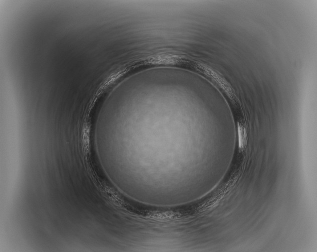X0000115410675200911101612