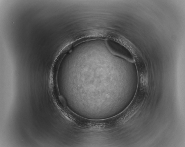 X0000115410676200911101612