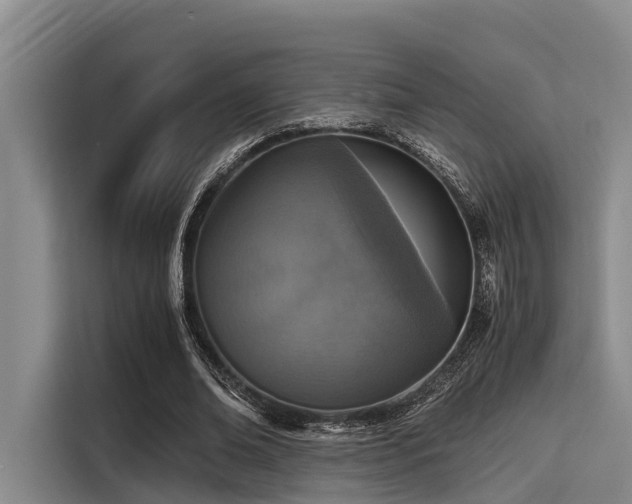 X0000115410678200911101612