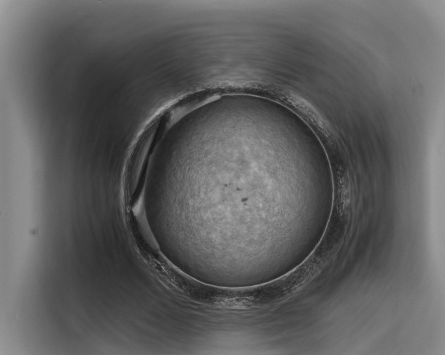 X0000115410680200911101612